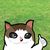 좀뭄