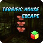 Terrific House Escape