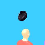 Wig Flip