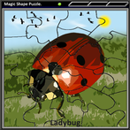 Magic Shape Puzzle 1