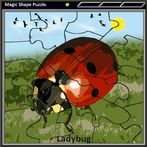 Magic Shape Puzzle 1