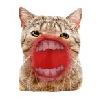 CatClicker