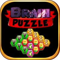 Brain Puzzle