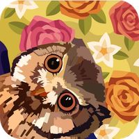 Owl & Flower:Color Master Colo