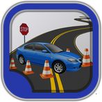 DVM VIRGINIA DRIVING TEST