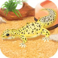 Leopard Gecko Pet