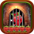 Comely Strawberry Escape