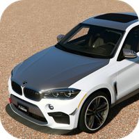 Drive BMW X6 M SUV City Racer