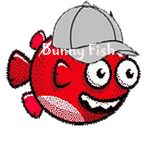 Bunny Fish