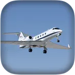 Toy Airplane Flight Simulator