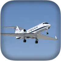 Toy Airplane Flight Simulator