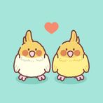 Furry Pet Match