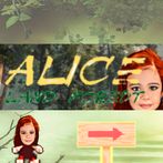Alice Land Forest
