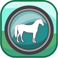 Classification of Animals