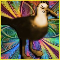 Albatross