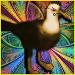 Albatross