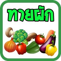 เกมทายชื่อผัก