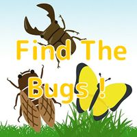 Find The Bugs!
