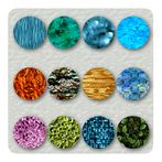 50plex: An impossible memory g