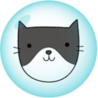 Happy Bubble Cats Pop Match Co