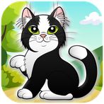 Black Cat Escaping : Miaaw