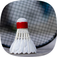 Badminton Legends