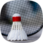 Badminton Legends