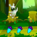Jungle Rabbit Adventure: Skati