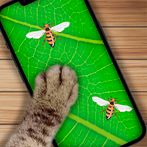 Toy For Cats - Games For Cat