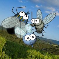 Flies, fly away!