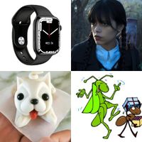 Guess Pictures-Quiz