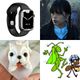 Guess Pictures-Quiz