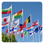 Guess Flag and Country