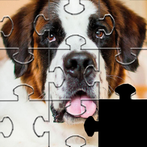 Dogs Jigsaw Puzzle Games