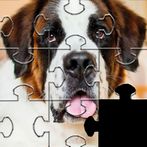 Dogs Jigsaw Puzzle Games