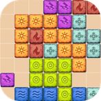 Block puzzle game 2021