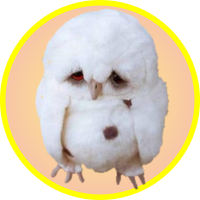 Игра на память. Птицы. 6+