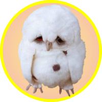 Игра на память. Птицы. 6+