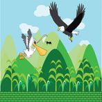 The Adventure of the Palican