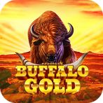 Buffalo Gold