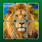 PuzzleCards: Jigsaw Solitaire