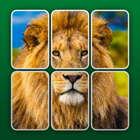 PuzzleCards: Jigsaw Solitaire