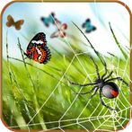 Arkanoid: Butterfly catcher