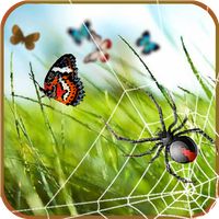 Arkanoid: Butterfly catcher