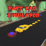 Fast Car Simulator