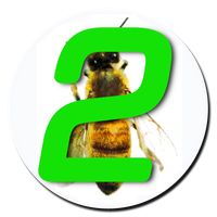 Pick Bee 2