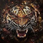 Tiger Jigsaw Puzzles Games