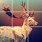 Picture Puzzle