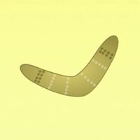 Boomerang in Desert