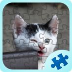 Funny Animals Jigsaw Puzzles